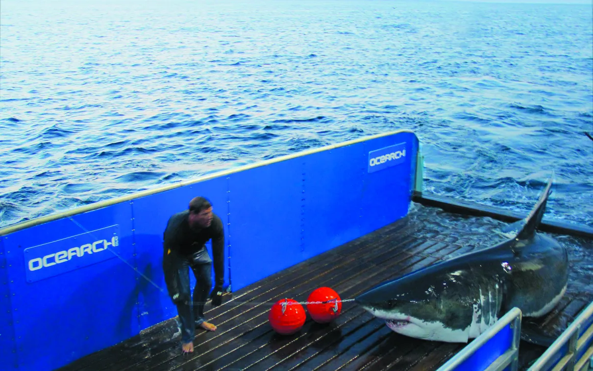 A person kneels on a boat deck near three orange buoys and a large fish beside a blue barrier labeled "OCEANECH."