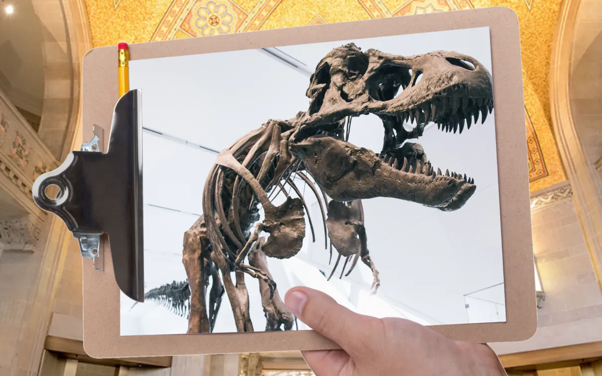 A hand holds a clipboard in front of a gallery with a mosaic ceiling. The clipboard is holding a picture of a Tyrannosaurus rex skeleton