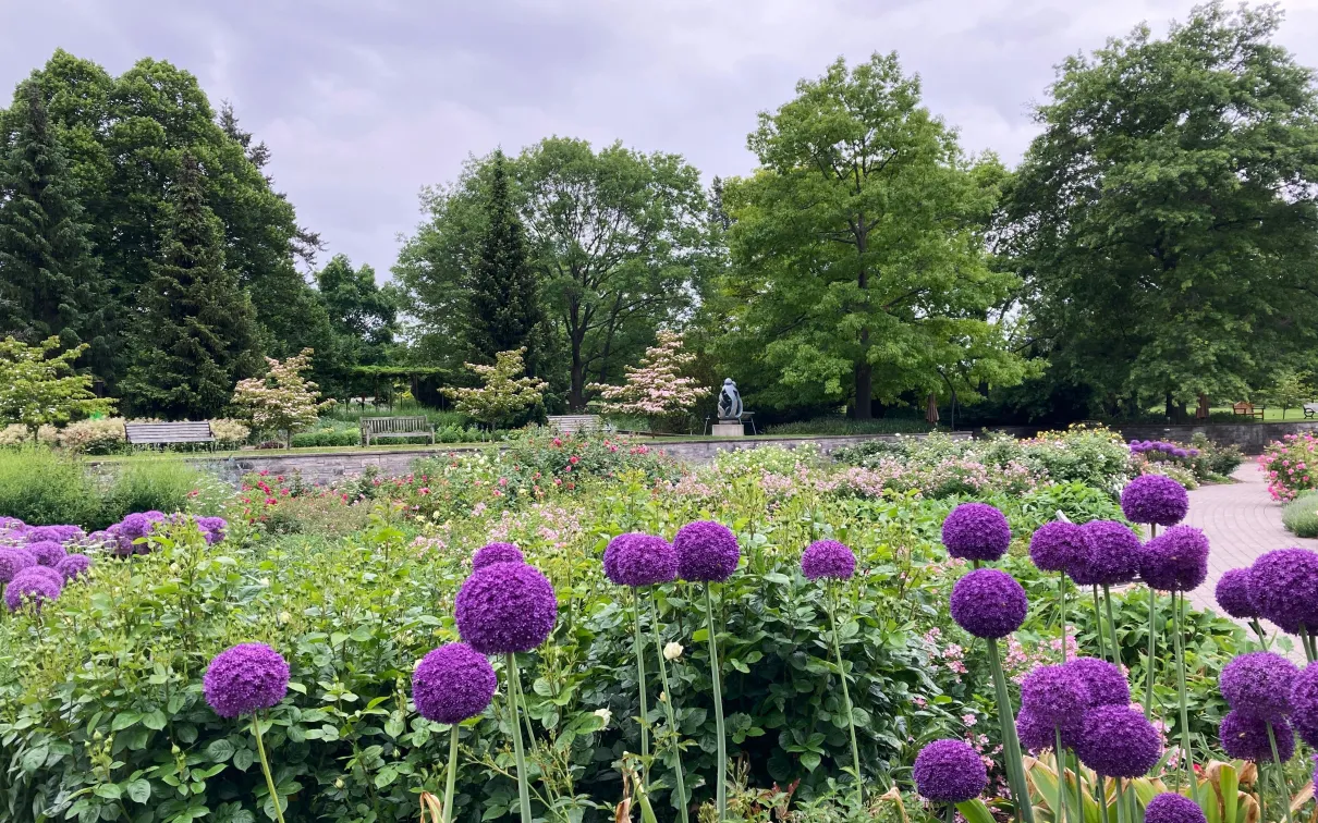 Royal Botanical Garden - Hendrie Park
