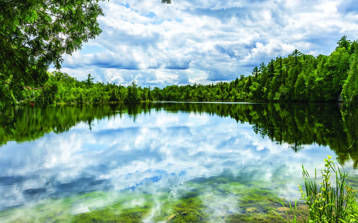 Crawford Lake, Credit: © Gilberto Mesquita, stock-adobe.com.