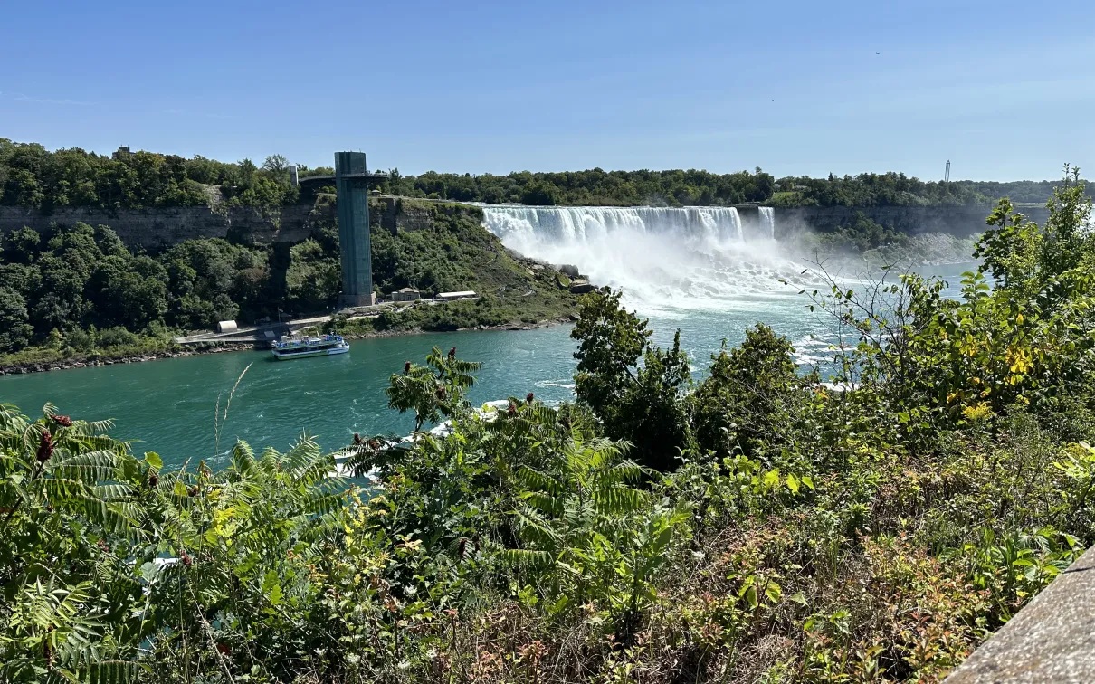 American Falls, © C. Chandran.