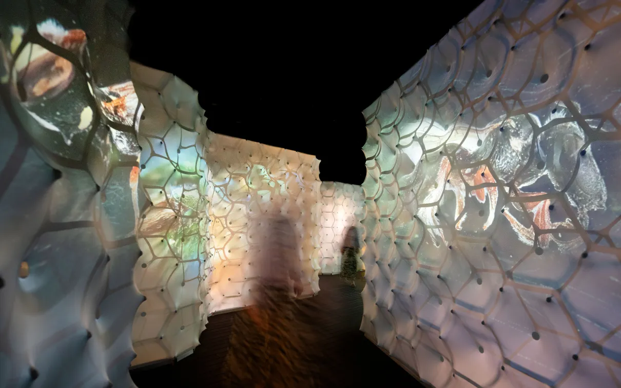 An oversized stylized honeycomb tunnel welcomes visitors into the exhibition experience.