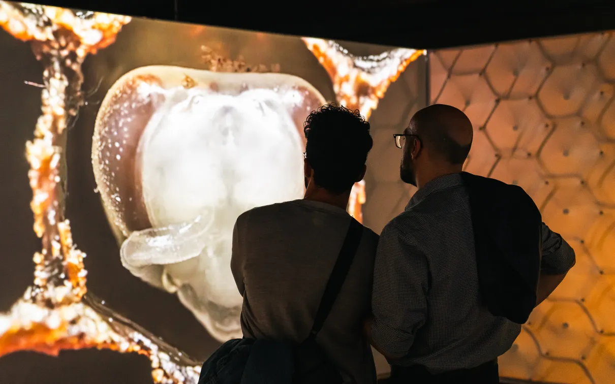 Two people interact with a projection in the BEES exhibition.