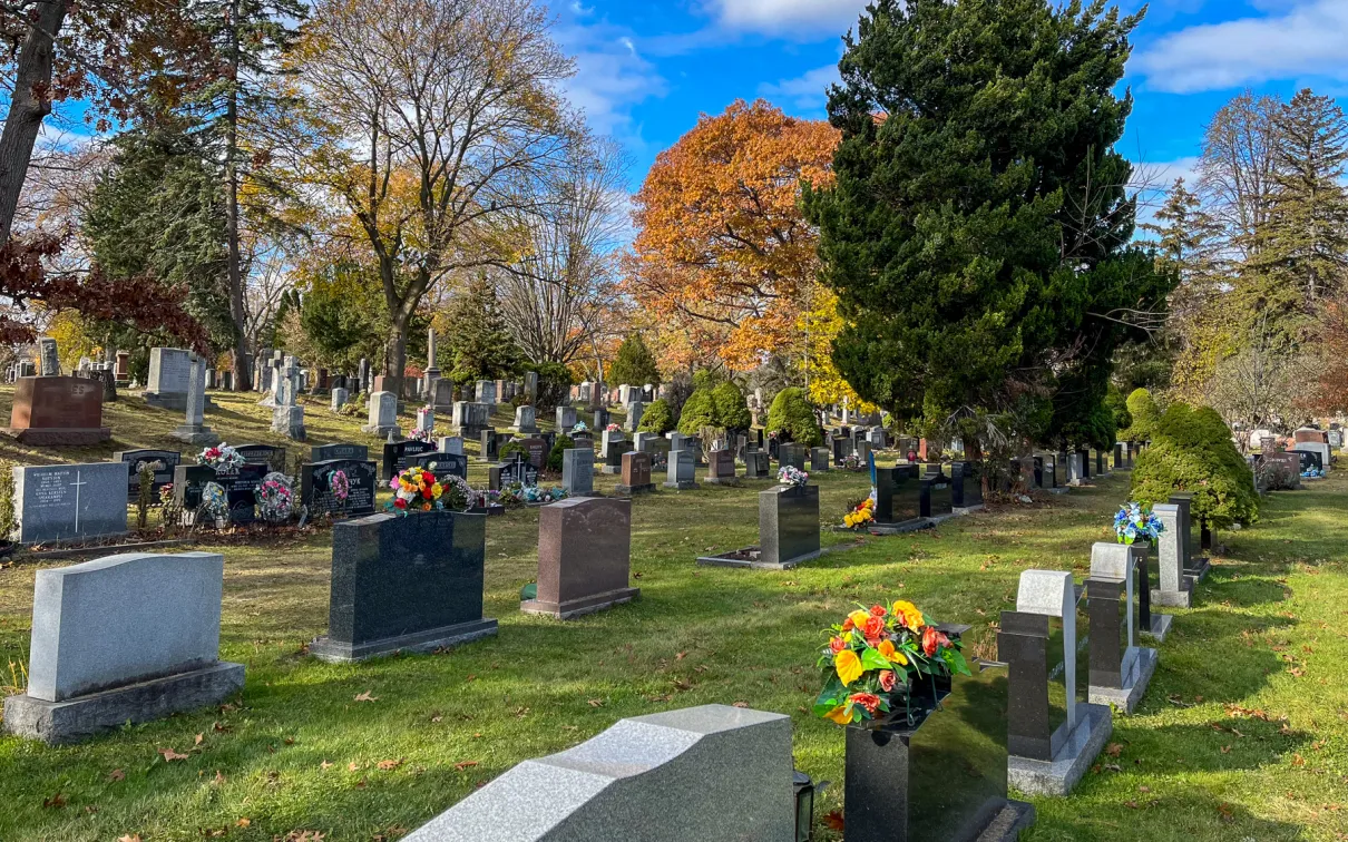 overview of Cemetery