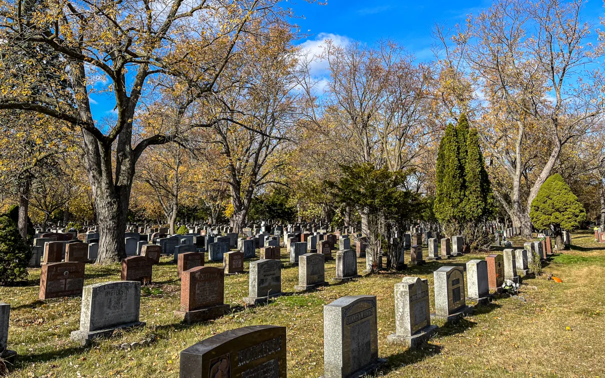 overview of cemetery