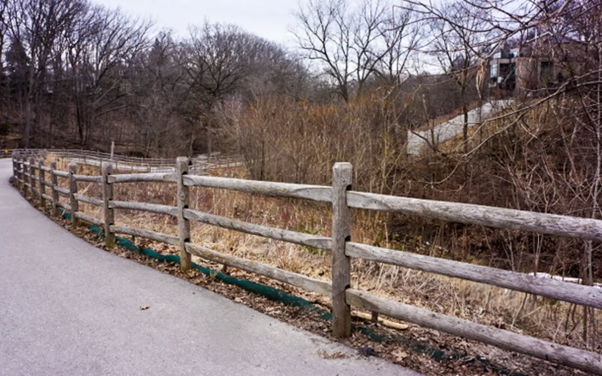 Moore Park Ravine, Photo Credit: Barry Russell 