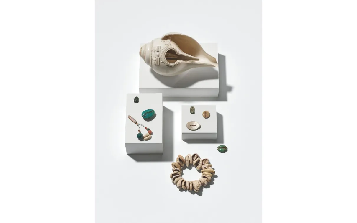 A selection of shells including cowries and imitation material from the Indian Ocean world. 