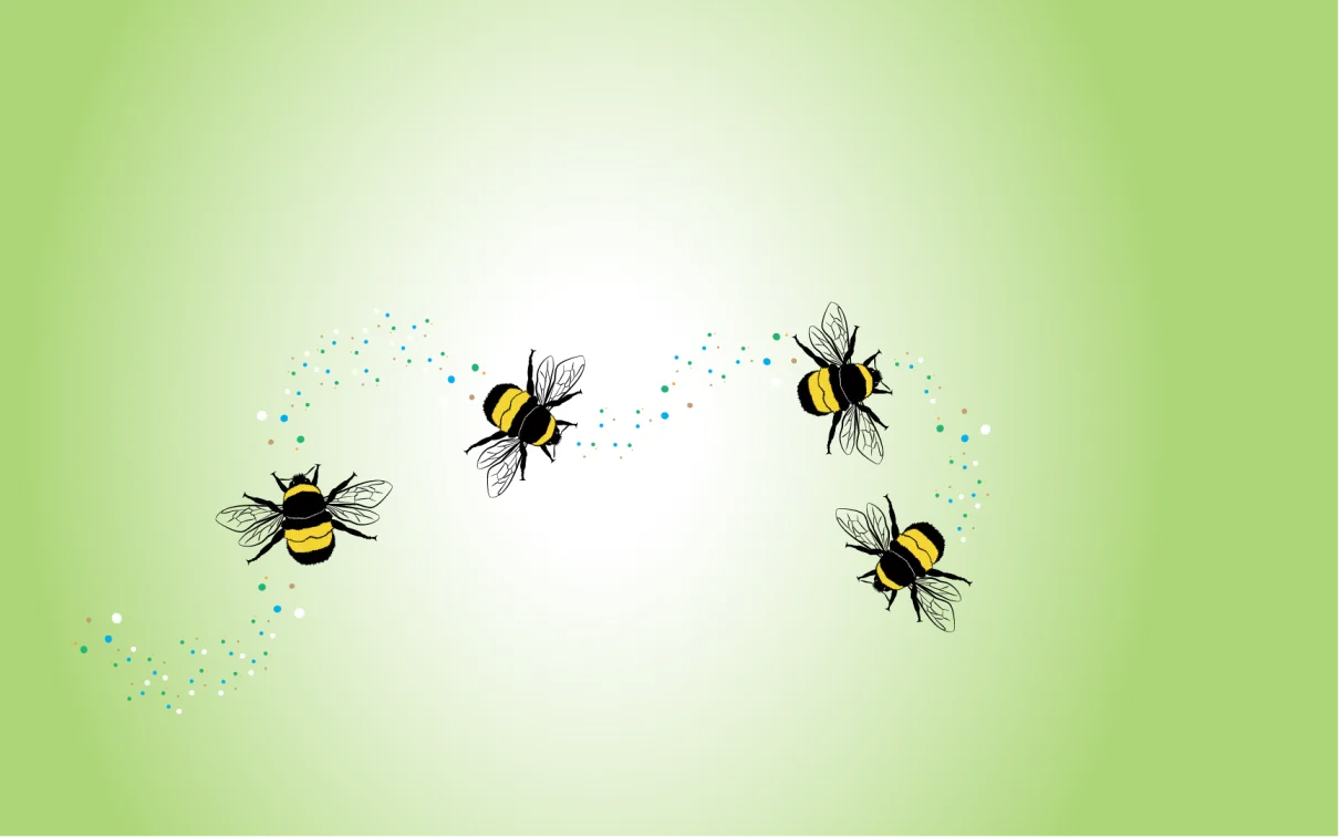 several bumble bees flying on a green background