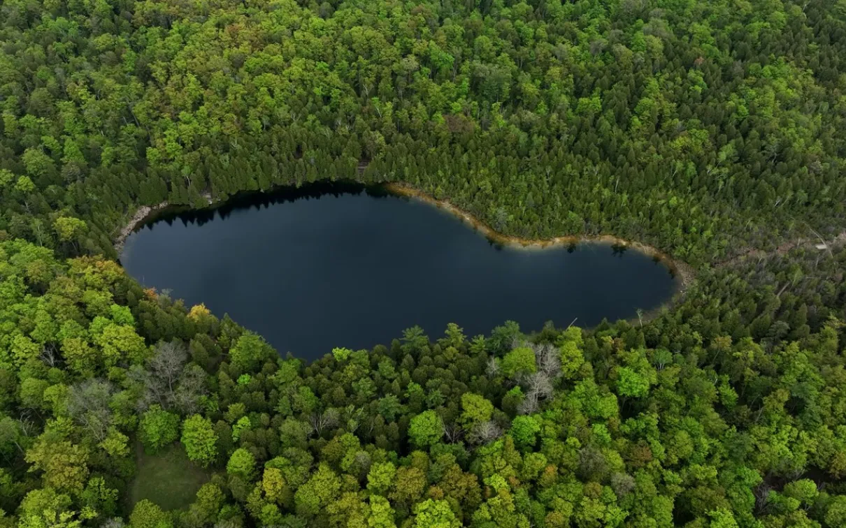 Image of a lake in a forest from the air