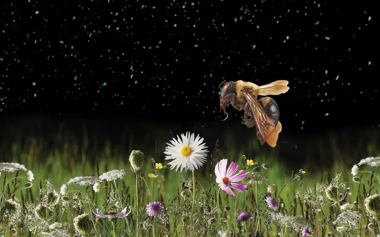 a bee hovers over a meadow of grasses and flowers