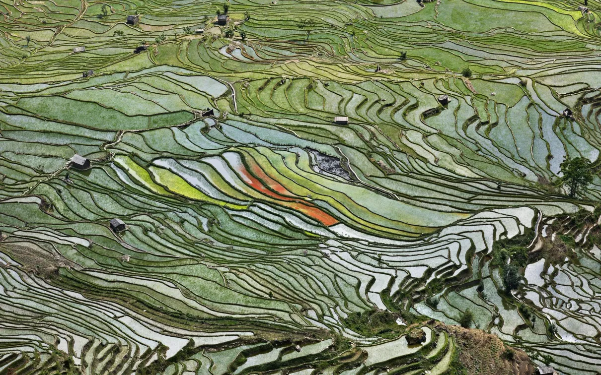Aerial view of rice terraces