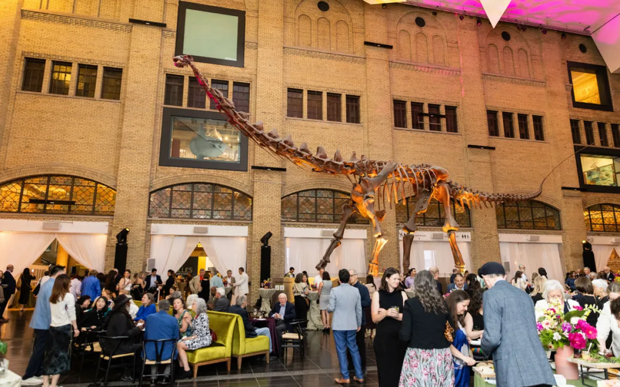 Guests gather beneath a towering Barosaurus skeleton in the Royal Ontario Museum's Samuel Hall Currelly Gallery during ROM Celebration 2026.