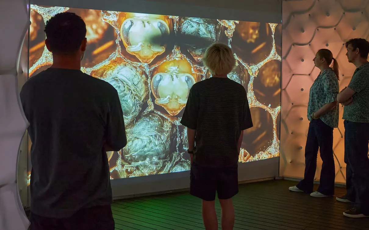 Four people stand in front of a large screen depicting bees in a honeycomb habitat.
