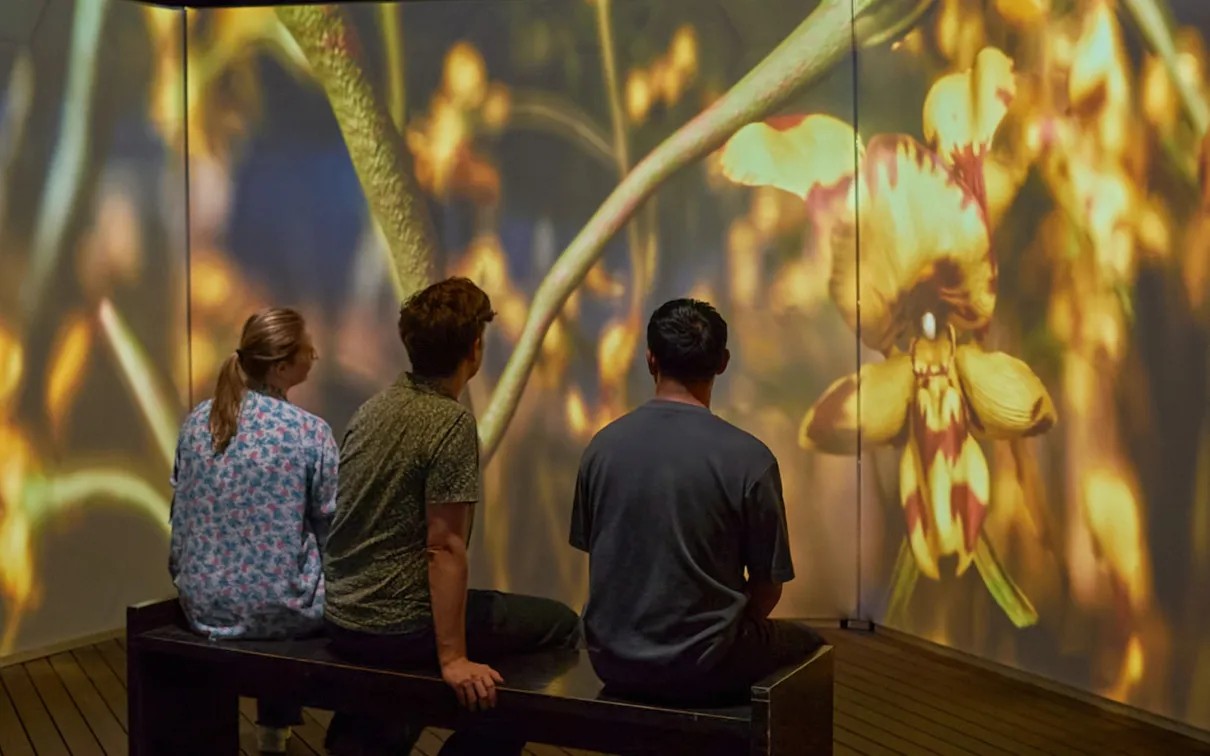 Three people sit on a bench in front of a large screen depicting bee habitat.