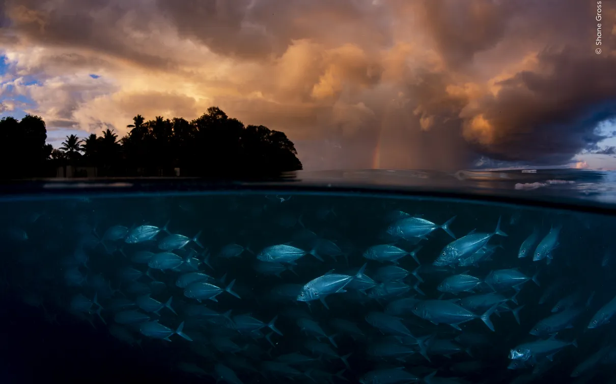 Calm Amid the Storm by Shane Gross, Canada