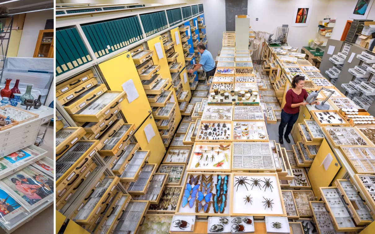 Two views of a large storage room filled with shelves and tables holding artifacts and boxes in the Royal Ontario Museum collections.