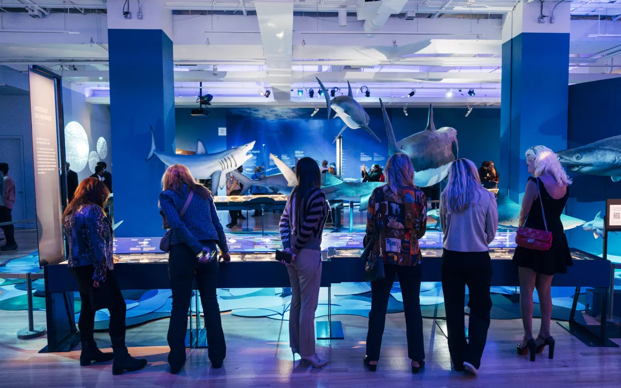 Patron at an exclusive exhibition viewing