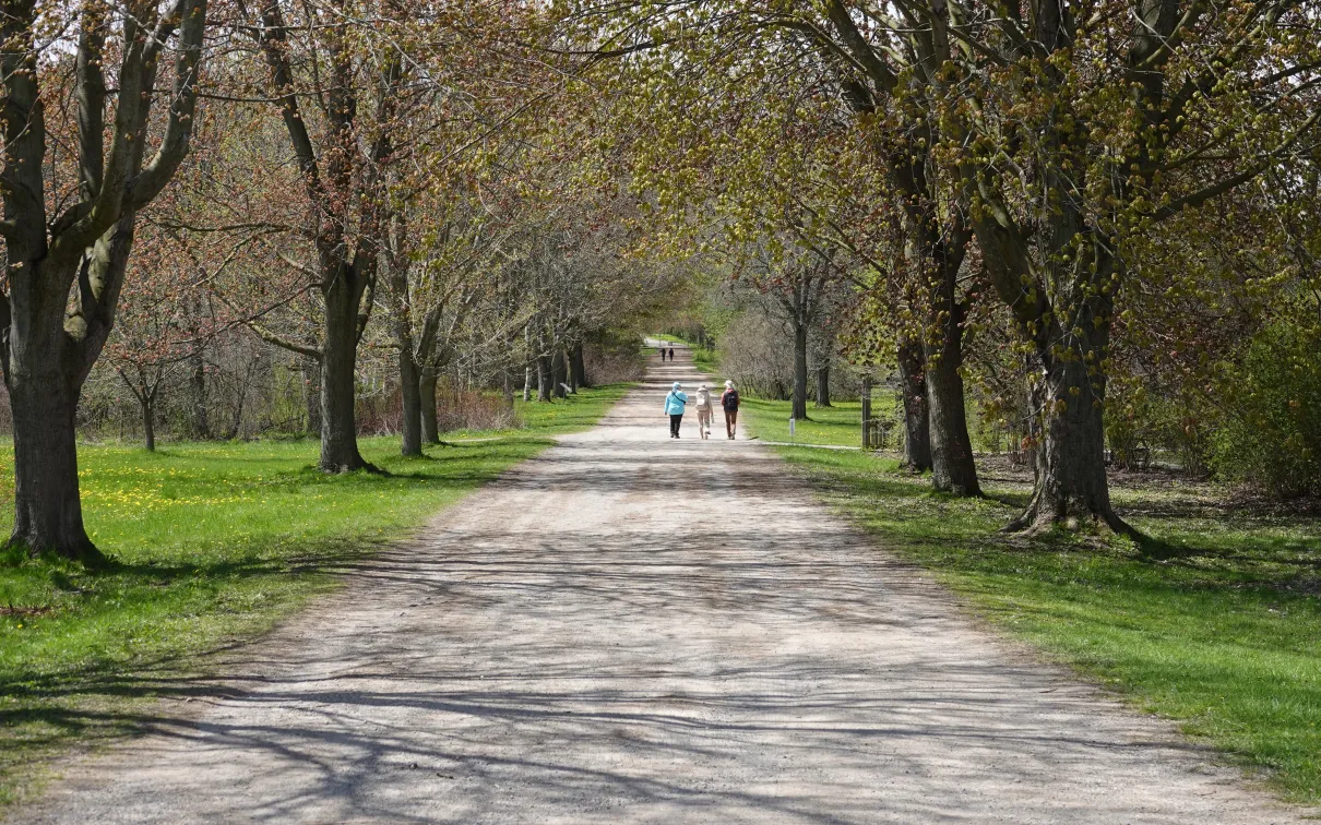 Walking path Guelph Arboretum © Craig Smith