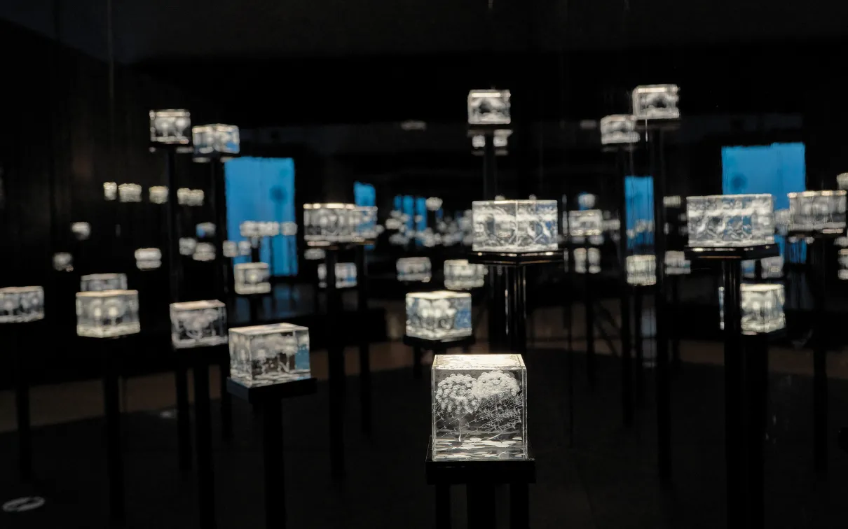 Illuminated glass cubes displayed on tall black pedestals in a dark gallery installation, creating a field of glowing sculptural artworks.