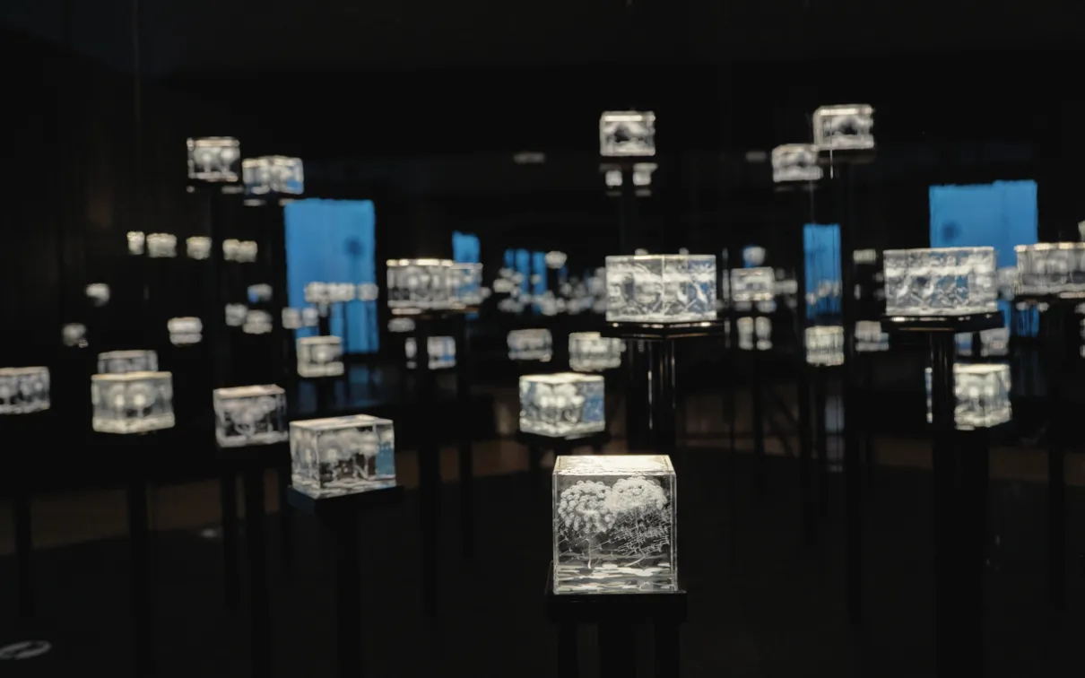 Illuminated glass cubes displayed on tall black pedestals in a dark gallery installation, creating a field of glowing sculptural artworks.
