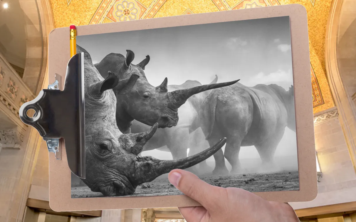 A hand holds a clipboard in front of a gallery with a mosaic ceiling. The clipboard is holding a picture of several rhinoceroses.