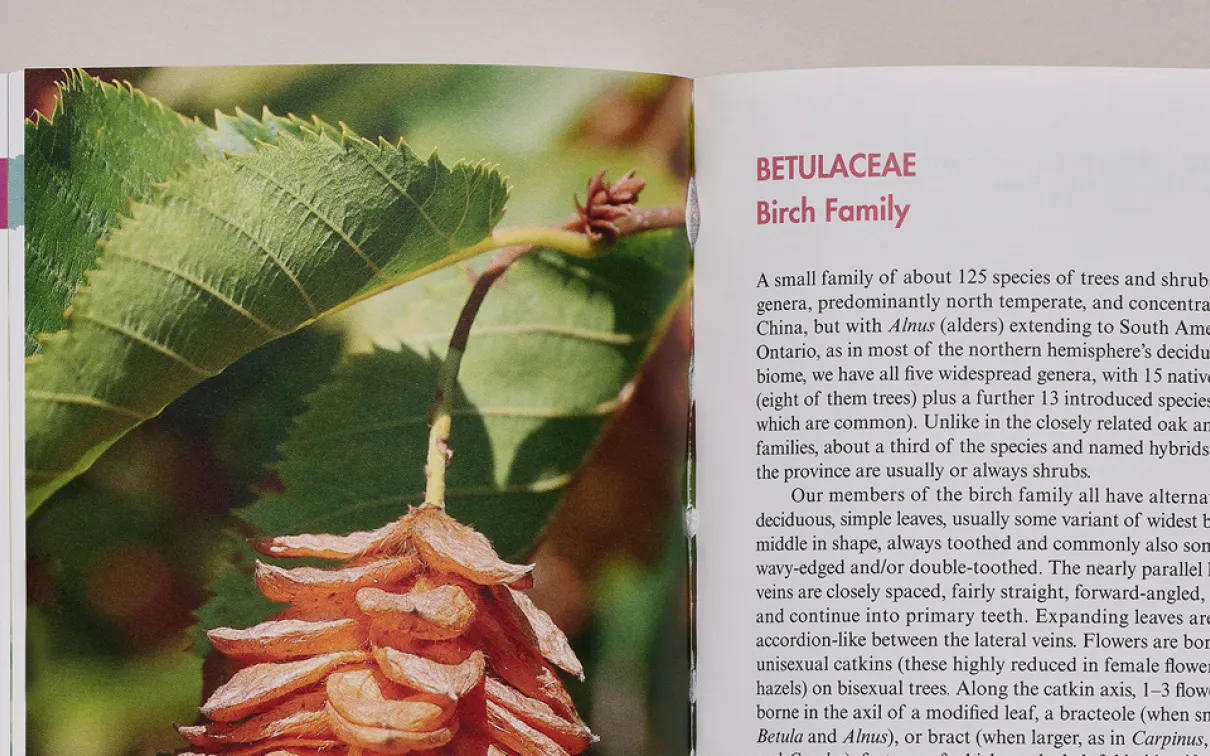 A Field Guide to Trees of Ontario