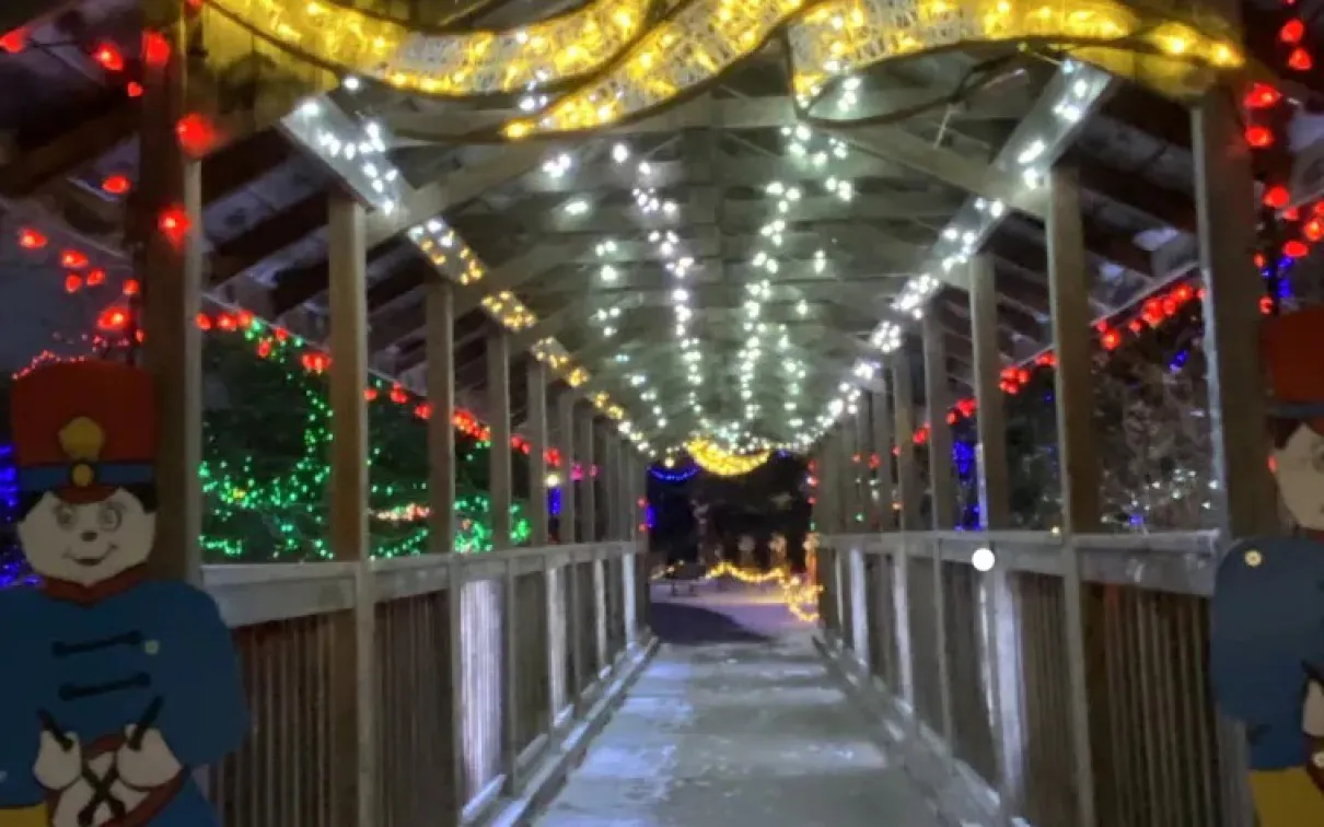 Christmas in the Park Credit: © Tina Clare
