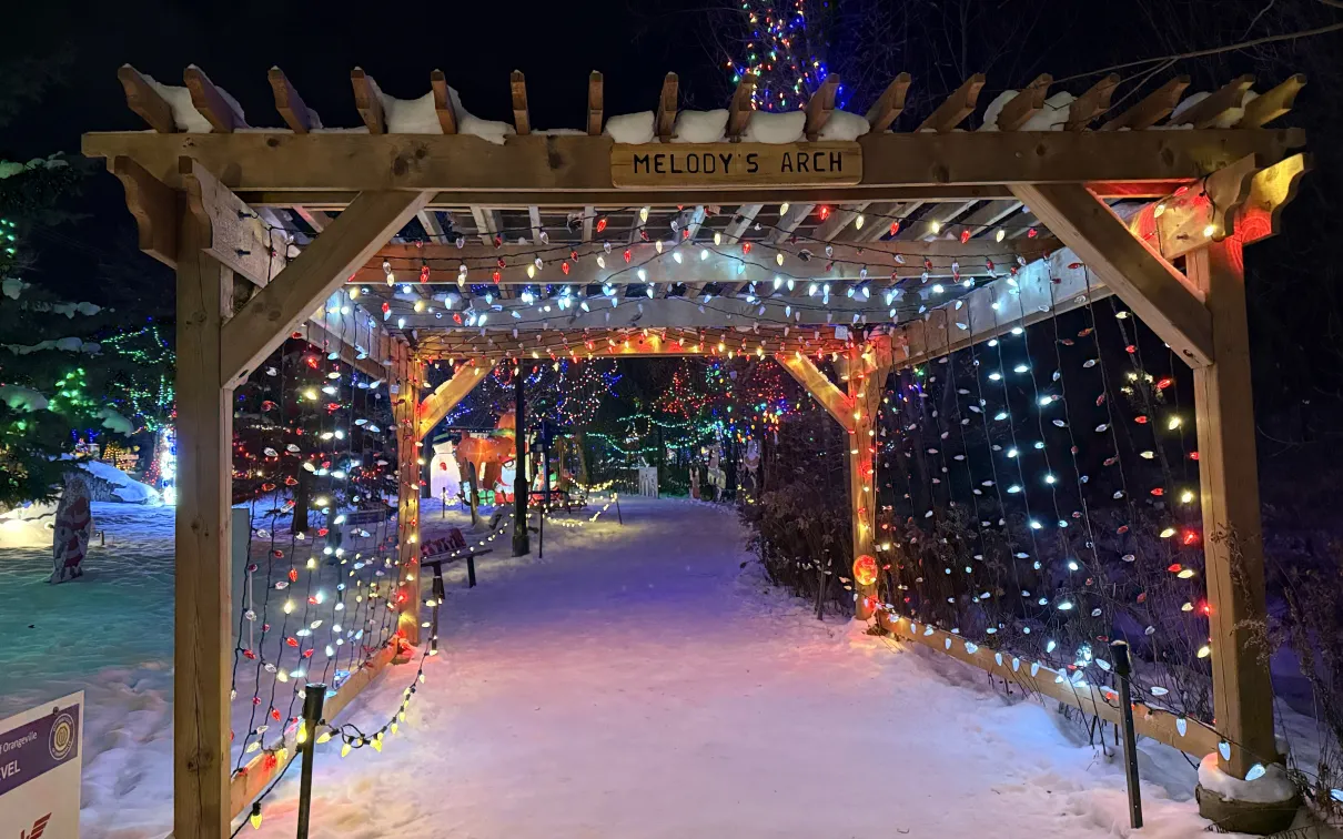 Christmas in the Park  