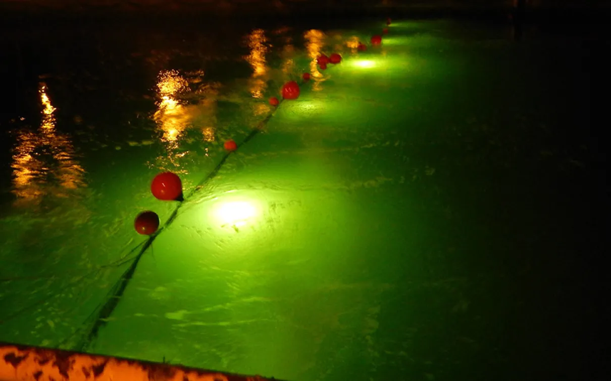 Auditory barrier used for research.