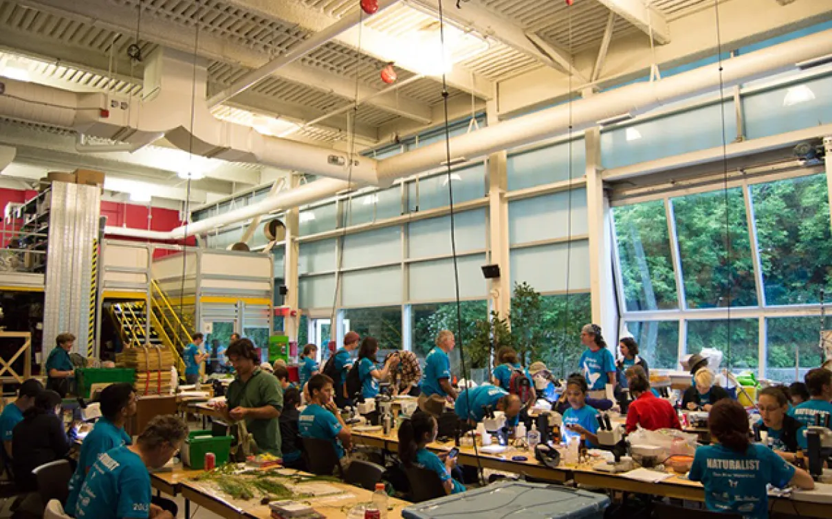 Wide view of the species depot at the 2015 Ontario BioBlitz, where scientists bring back specimens to examine and identify along tables with microscopes and field guides. Photo by Krystal Seedial
