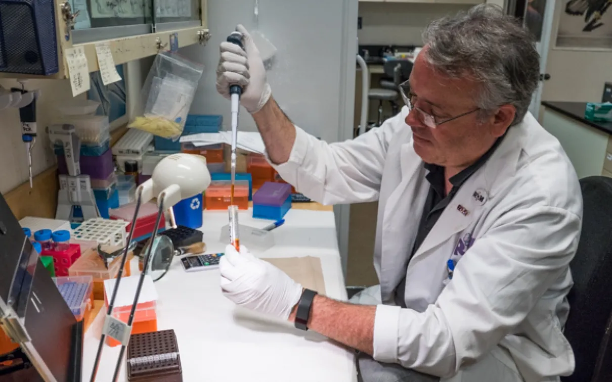 ROM technician Oliver Haddrath extracting a DNA sample from blue whale tissue. Photo by Connor McDowell
