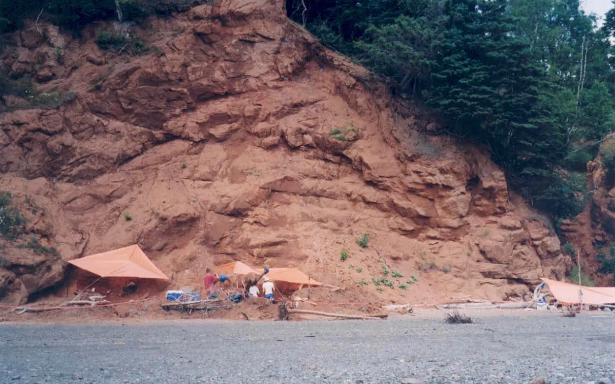 These rock layers near Parrsboro, Nova Scotia, hold Canada’s oldest dinosaurs. They are near the boundary of two chapters of geologic time – the Triassic and Jurassic Periods of the Mesozoic Era. (Photo by Victoria Arbour)
