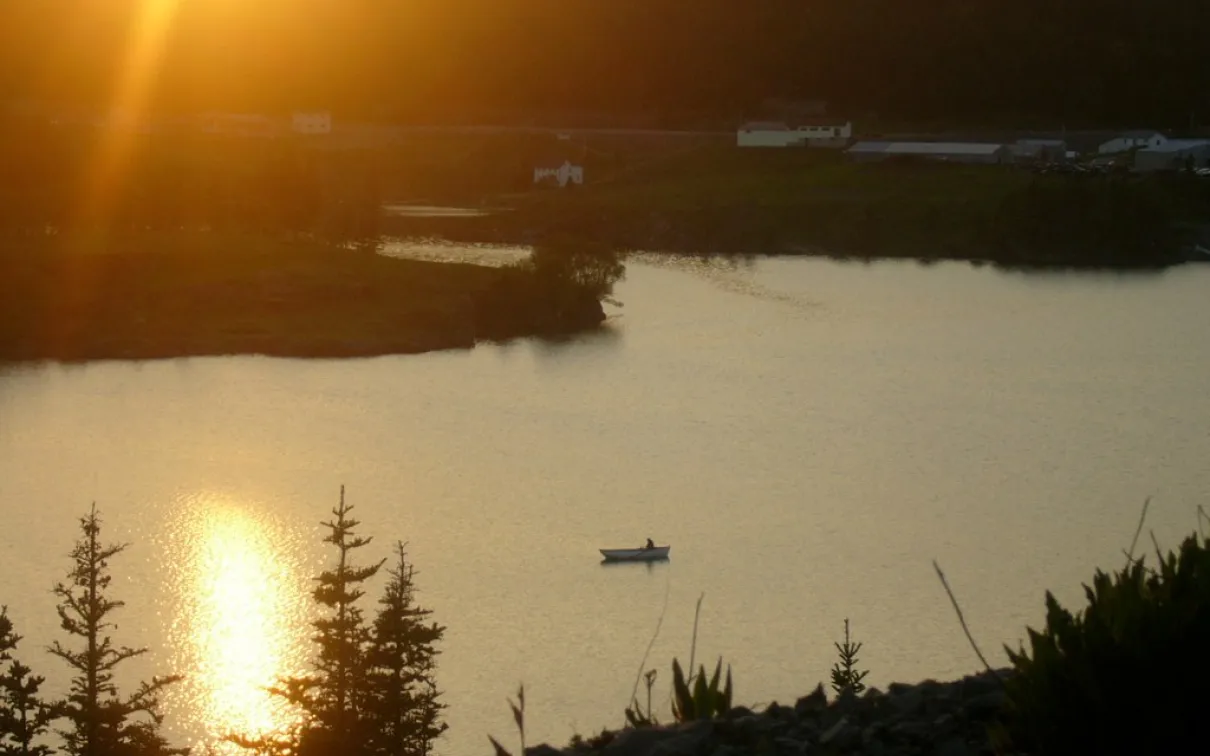 fishing boat in a harbour at sunset
