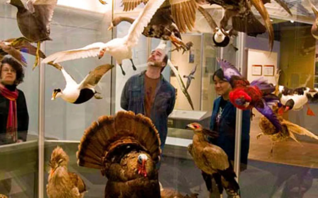 Visitors in the Birds Gallery

