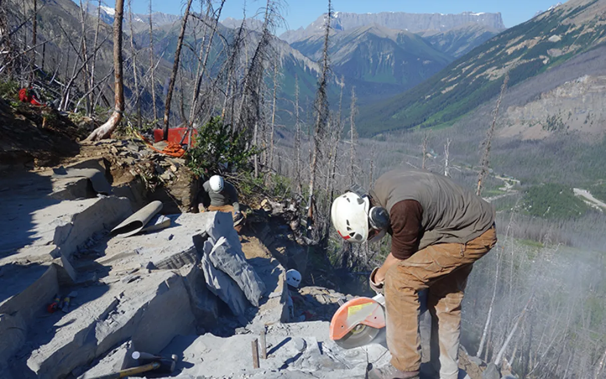 Students working at fossil site on the mountain side.
