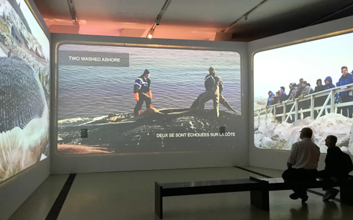 蓝鲸展馆的由来。| Entrée de l'exposition sur la baleine bleue. 照片由吴昊康 | Photo de Shawn Wu
