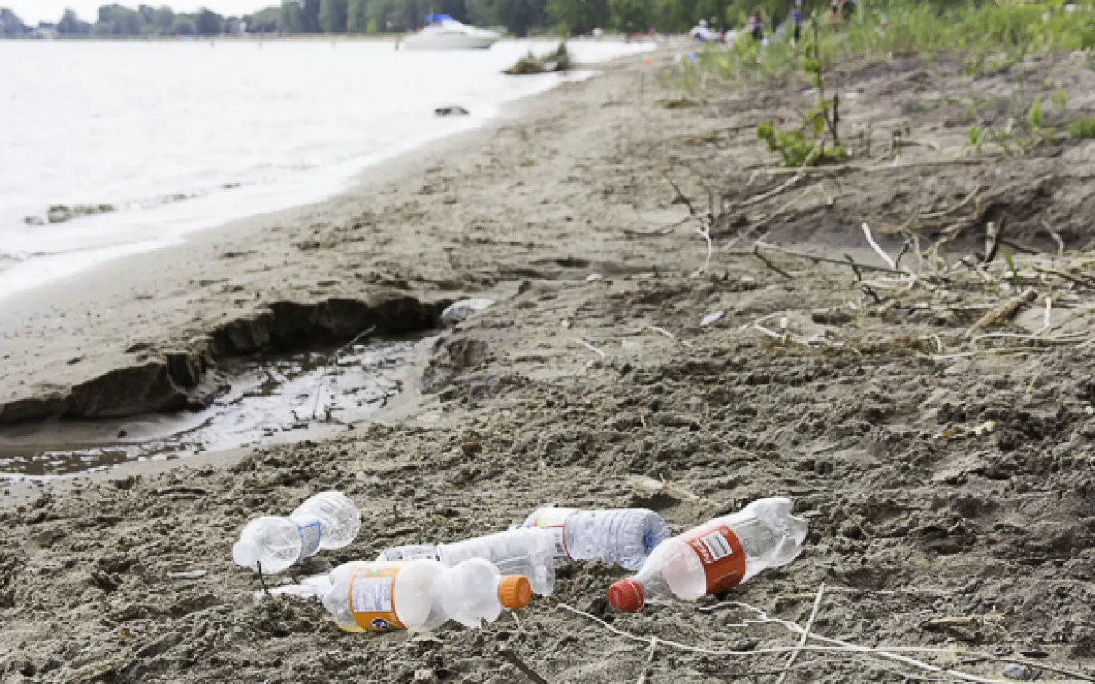 Plastic pollution found at Turkey Point on Lake Erie. Photo credit: Cristina Bergman
