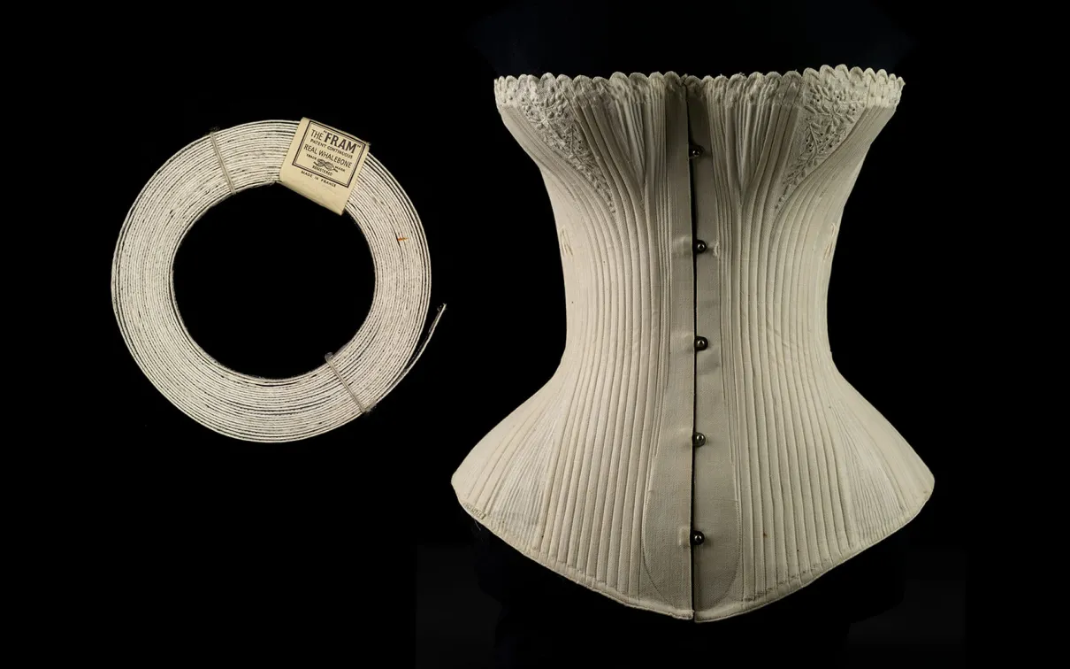 Baleen roll and corset on a black background.