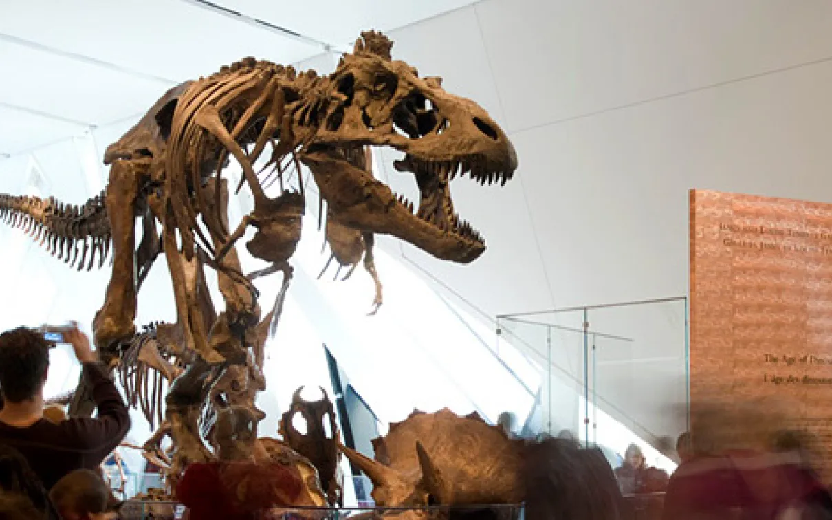 James and Louise Temerty Galleries of the Age of Dinosaurs