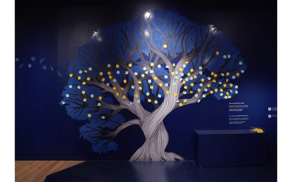 Image de l'exposition dans la galerie
