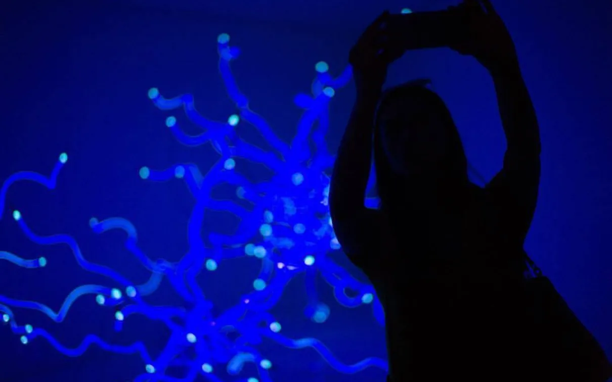 Bourdons saphir néon