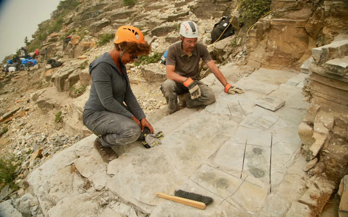 View of the ROMâs Dr. Jean-Bernard Caron and Dr. Maydianne Andrade at the quarry site discussing these newly revealed fossils.
