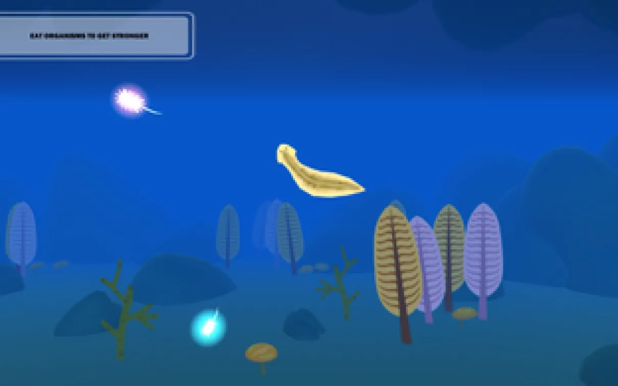 un petit ver aquatique chasse les organismes plus petits
