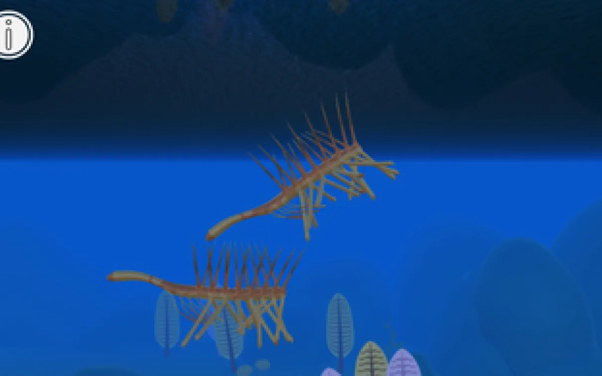 deux créatures hérissées de pointes nagent dans l'eau
