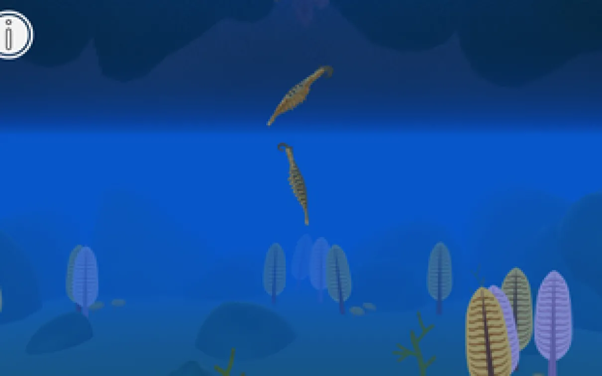 deux créatures étranges nagent sur fond d'océan
