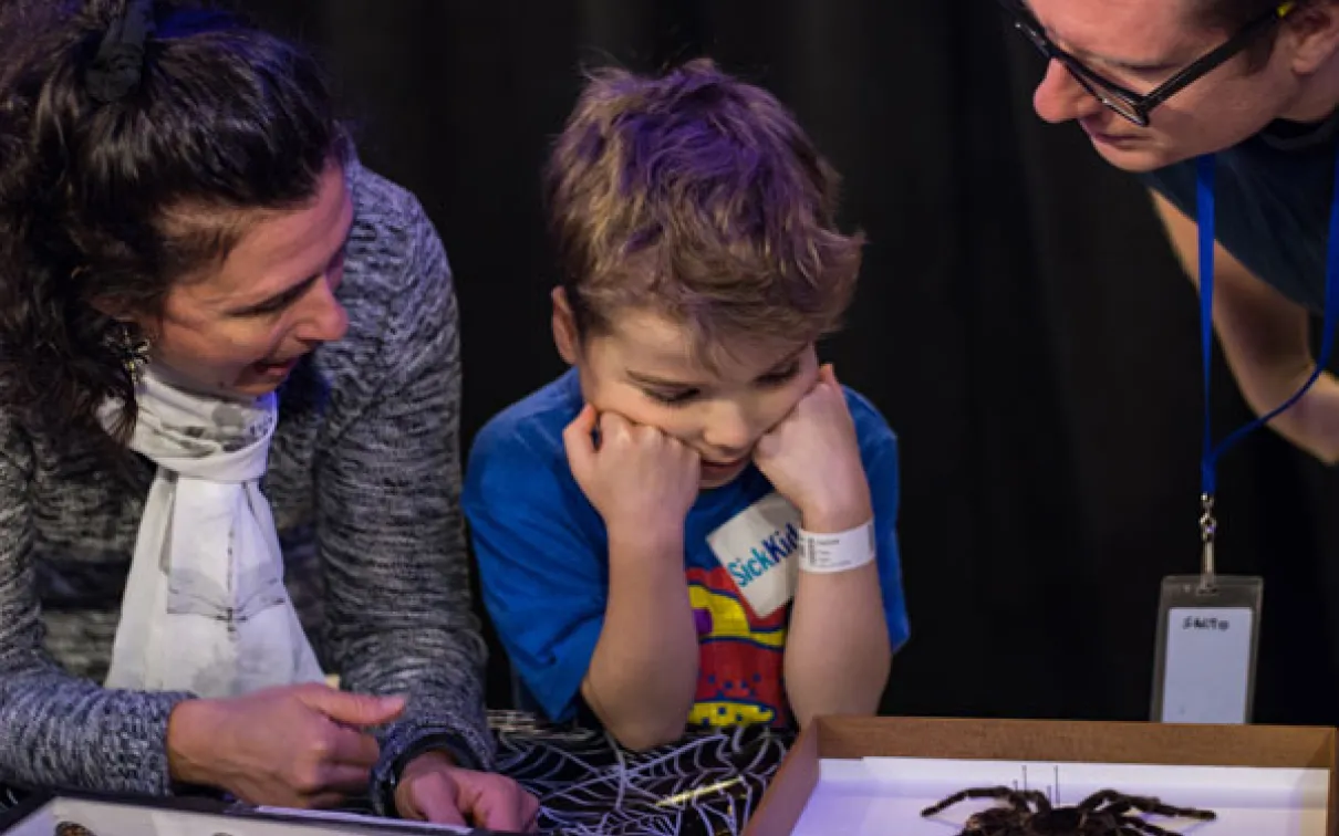 A child examines a spider specimen with adults
