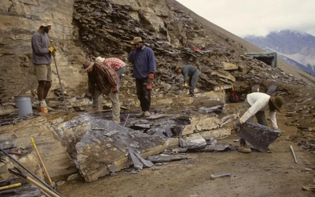 Palaeontologists working onsite in Canada's Rocky mountains.
