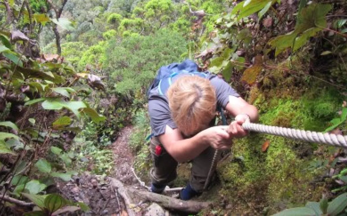 Simona, Mt. Mulu, Borneo
