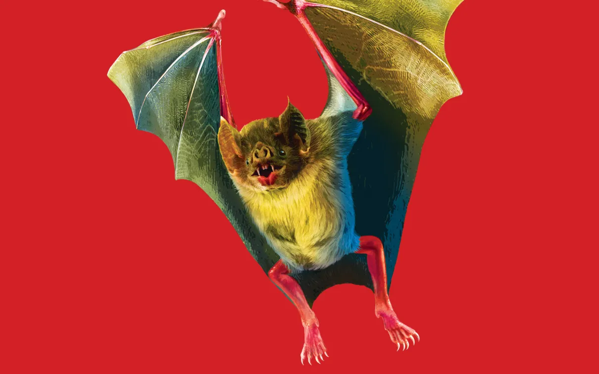  Les suceurs de sang : Des légendes aux sangsues