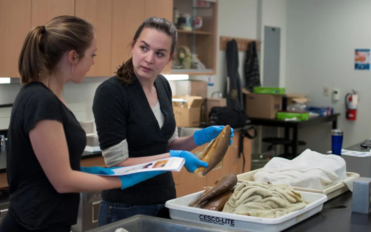 Two women examine a fish at an identification workshop.

